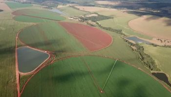 ADM supera meta global e atinge 2 milhões de hectares com agricultura regenerativa