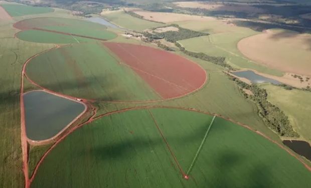 ADM supera meta global e atinge 2 milhões de hectares com agricultura regenerativa