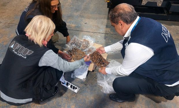 Sorpresa en Ezeiza: detectaron un particular envío de productos que salen del campo y valen más que el oro