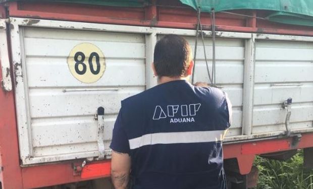 Iban a Bolivia: Aduana incautó cuatro camiones con soja en una ruta de Salta