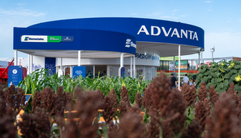 Las semillas para tres cultivos estrella que se pueden ver en Expoagro 2026: Advanta lleva sorgo, girasol y maíz y celebra más de 30 años de trayectoria