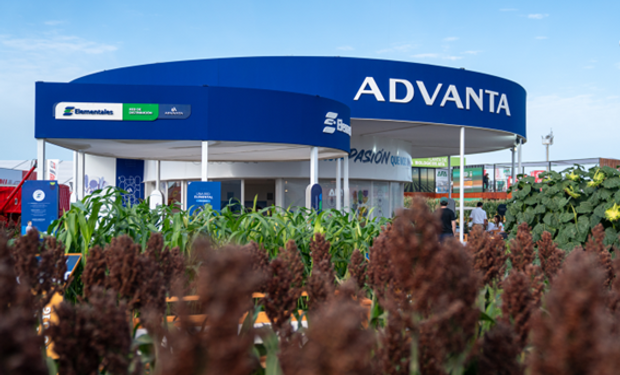 Las semillas para tres cultivos estrella que se pueden ver en Expoagro 2026: Advanta lleva sorgo, girasol y maíz y celebra más de 30 años de trayectoria