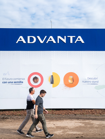 Advanta semillas