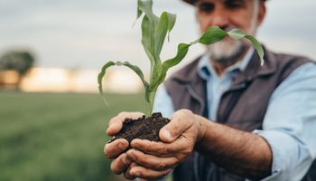 Agro cobra modernização do seguro rural: “chega de esperar todo ano o governo dizer se vai ter verba”