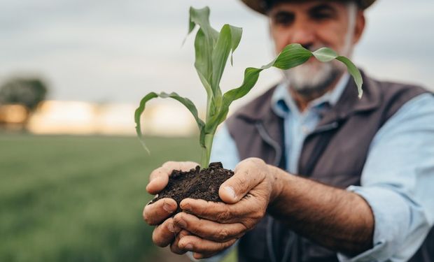 Agro cobra modernização do seguro rural: “chega de esperar todo ano o governo dizer se vai ter verba”