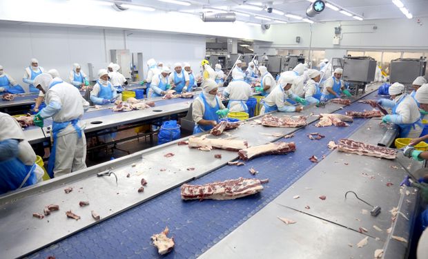 Argentina aumentó las exportaciones de carne en 2023, pero el precio cayó un 25 %