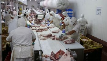 China analiza sanciones a las importaciones de cerdo europeo