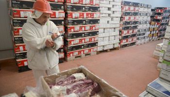Exportación de carne: la guerra podría afectar la recuperación del precio y el volumen que tiene la Argentina