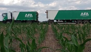 AFA apuesta a crecer más: planta de bioetanol, un puerto en Timbúes y US$ 170 millones invertidos