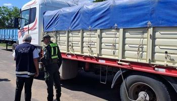 La AFIP se instala en la ruta: incautó la carga de diez camiones en distintos puntos del país