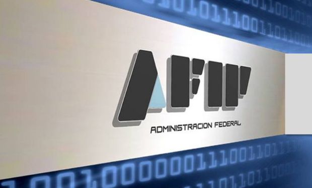 La presentación debe realizarse mediante transferencia electrónica de datos a través del servicio de “Presentación de Declaración Jurada y Pagos” disponible en la web de la AFIP.