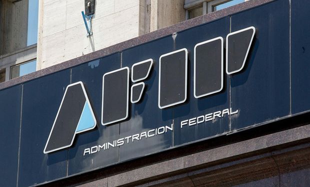 El agro, bajo la lupa: la AFIP buscará evasores con imágenes satelitales