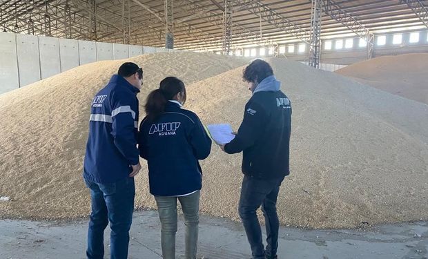 La AFIP desarticuló 60 agroexportadoras “truchas”: se trataría de una exportación fraudulenta de 37.500 toneladas