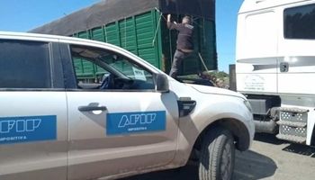Investigación de la AFIP: la supuesta maniobra de exportadores del agro para ocultar $44.000 millones