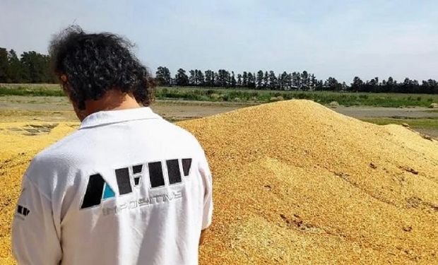 Soja y maíz: la AFIP incautó la carga de cinco camiones valuada en 6,6 millones de pesos