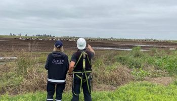 Ni los tambos se salvan: AFIP presiona al campo y recorre establecimientos y rutas para sumar recaudación