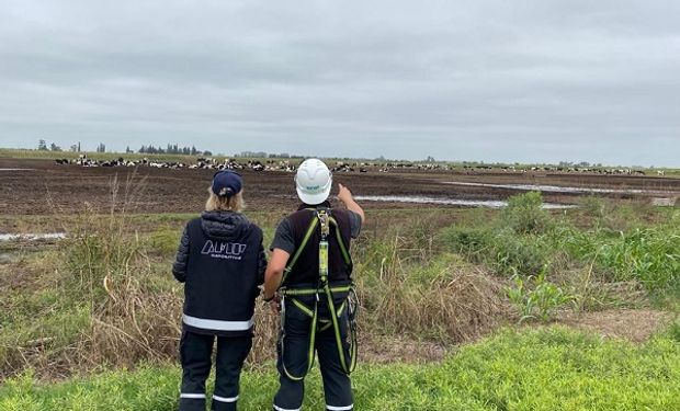 Ni los tambos se salvan: AFIP presiona al campo y recorre establecimientos y rutas para sumar recaudación