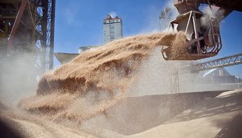 Se simplifican las exigencias a productores y operadores de granos