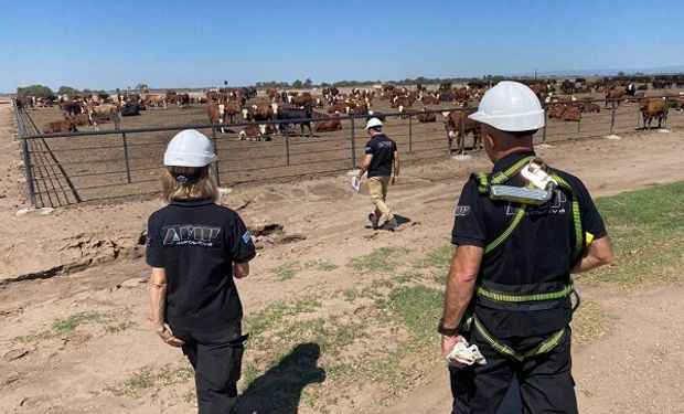 La AFIP sale a la caza de los feedlots: en dos meses denunciaron a numerosos establecimientos