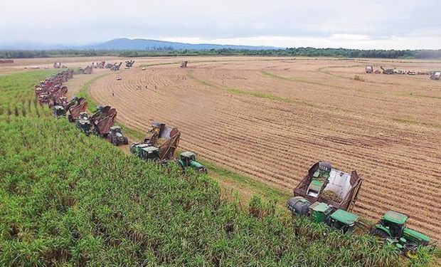 También elaboró 100 millones de litros de alcohol.