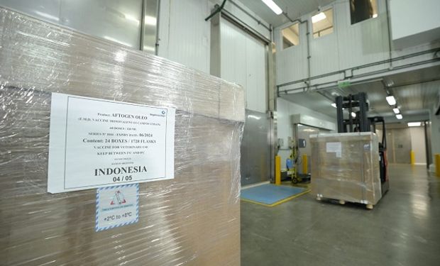 Por primera vez en la historia: Argentina exportó vacunas contra la aftosa a Indonesia