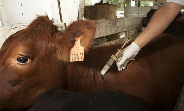 Buenas prácticas y la importancia del uso responsable de antibióticos para prevenir la resistencia