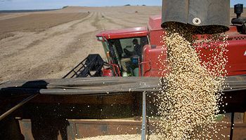 AG Rural redujo su cálculo sobre la cosecha de soja en Brasil