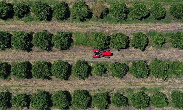 Multinacional de maquinaria se sumó al proyecto que conecta con 4G a siete nuevos sitios del campo argentino