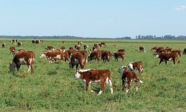 Por el coronavirus, el sector agropecuario uruguayo realizará un aporte de US$ 100 millones