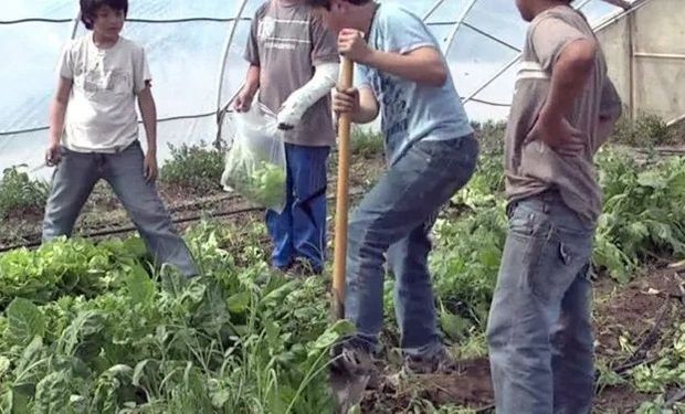 El aprendizaje práctico, una de las complejidades.