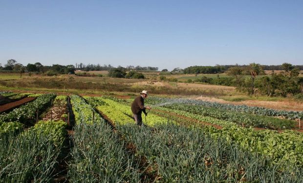 Novas definições: qual a diferença entre agricultor familiar e empreendedor rural?