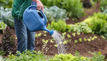 Câmara aprova R$ 500 milhões em fundos de crédito à agricultura familiar