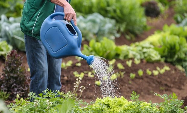 Câmara aprova R$ 500 milhões em fundos de crédito à agricultura familiar