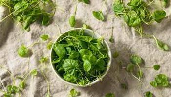 Alimento mais saudável do mundo é velho conhecido dos brasileiros