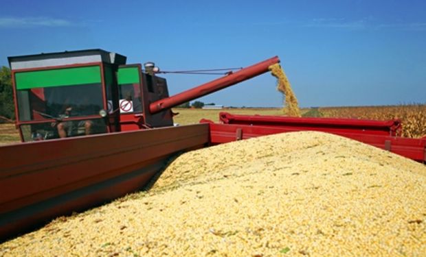 Argentina desplaza a China como 3° productor mundial de oleaginosas