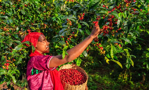 "O produtor rural tem uma nobre missão". (Foto: Embrapa).