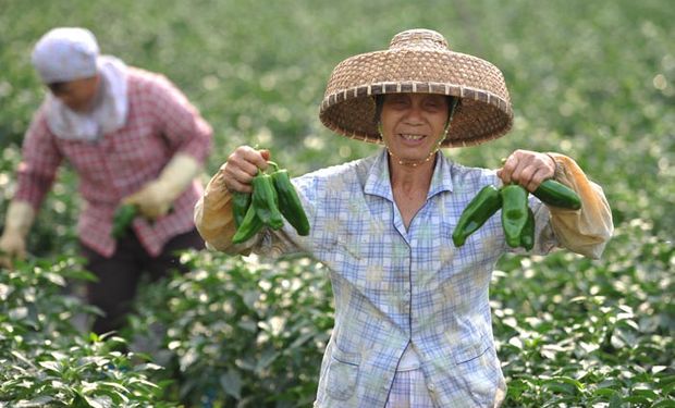 China continue sendo o maior produtor agrícola do mundo em 2023, com um valor da produção estimado em US$ 1,14 trilhão. (foto - divulgação)