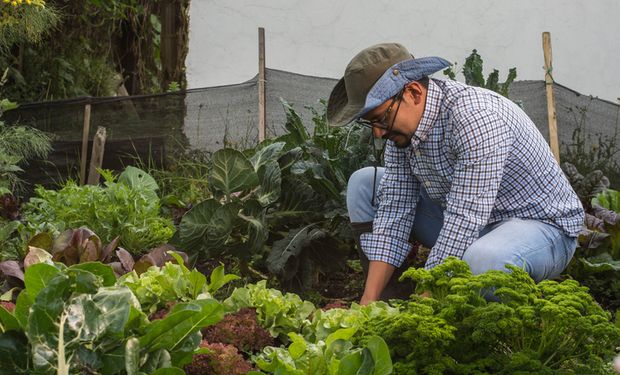 Governo dará descontos de até 95% para dívidas de agricultor familiar