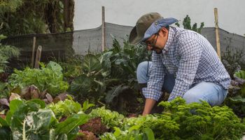Agricultor familiar eleva renda em 32,6% com Programa Nacional de Alimentação Escolar
