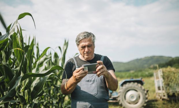 Preços pagos aos produtores brasileiros caem 16,4% em 2023