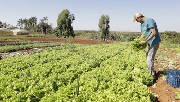 Seguro-desemprego para produtor prejudicado por clima ou entressafra é aprovado