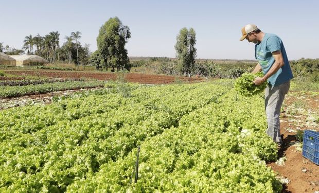 Seguro-desemprego para produtor prejudicado por clima ou entressafra é aprovado