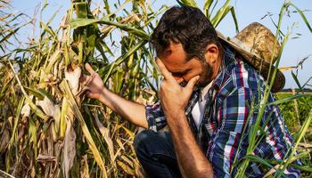 Brasil tem mais de 92% da área agrícola fora do Programa de Seguro Rural