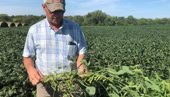 Los farmers recibirán US$ 12.000 millones de Trump pero alertan que no es suficiente para cubrir las pérdidas