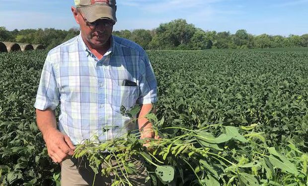 Los farmers recibirán US$ 12.000 millones de Trump pero alertan que no es suficiente para cubrir las pérdidas