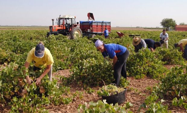 Tercerización de actividades y solidaridad por créditos laborales.