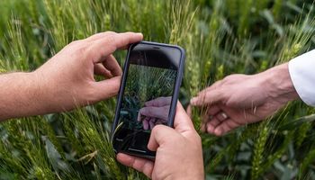 Empresa líder de insumos estima que la agricultura digital generará ingresos por más de US$ 20 mil millones a nivel mundial hacia 2030