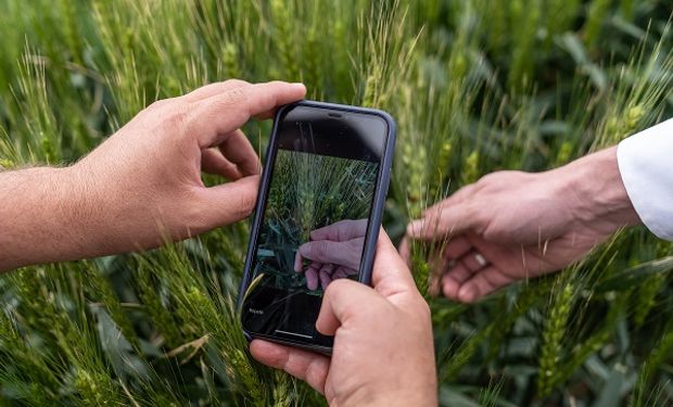 Empresa líder de insumos estima que la agricultura digital generará ingresos por más de US$ 20 mil millones a nivel mundial hacia 2030