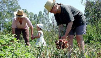 Lula sanciona lei de estímulo à modernização na agricultura familiar