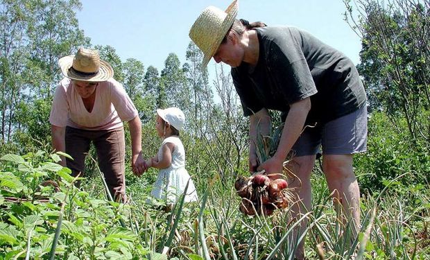 Lula sanciona lei de estímulo à modernização na agricultura familiar